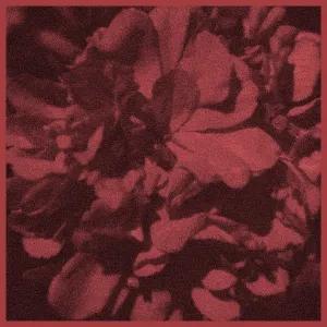 Pochette de Inhumane Intentions de Caged Bastard