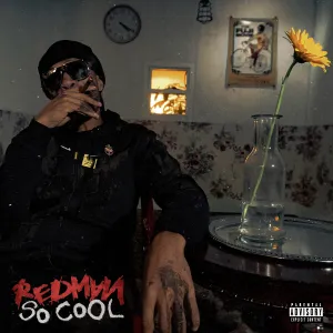 Pochette de So Cool de Redman
