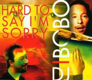 Pochette de Hard to Say I'm Sorry de DJ BoBo