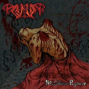 Pochette de No Divine Rapture de Paganizer