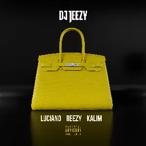 Pochette de Birkin Bag de Kalim