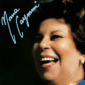 Pochette de Os Maiores Sucessos De Novela De Nana Caymmi de Nana Caymmi