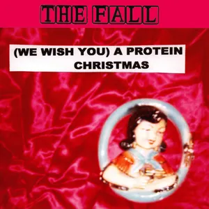 Pochette (We Wish You) A Protein Christmas