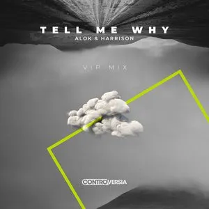 Pochette de Tell Me Why (VIP Mix) de Alok