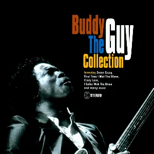 Pochette The Buddy Guy Collection