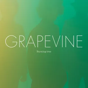 Pochette de Burning tree de GRAPEVINE