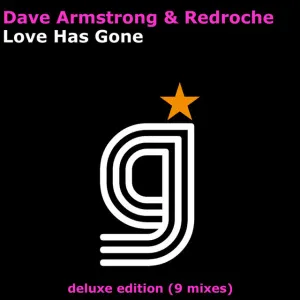 Pochette de Love Has Gone de Dave Armstrong