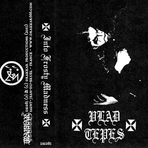 Pochette de Into Frosty Madness de Vlad Tepes