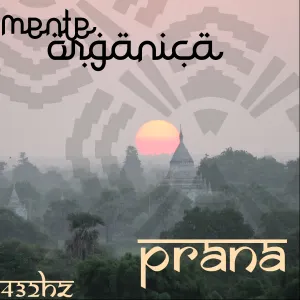 Pochette de Prana de Mente Orgánica