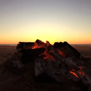 Pochette de Dawn Chorus de Jon Hopkins
