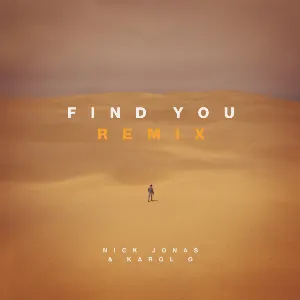 Pochette Find You (remix)