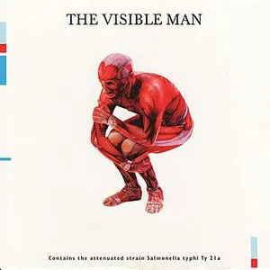 Pochette The Visible Man
