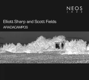 Pochette de Afiadacampos de Elliott Sharp