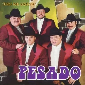 Pochette de Eso me gusta de Pesado