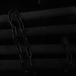 Pochette de Distorting the Source de Damien De Coene