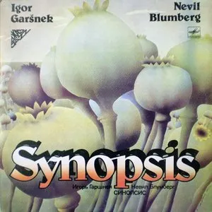 Pochette de Synopsis de Günter Sommer