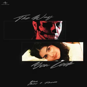 Pochette de The Way You Look de Noor Chahal