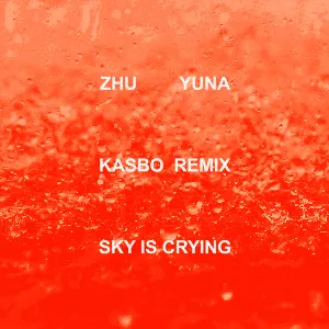 Pochette Sky Is Crying (Kasbo remix)
