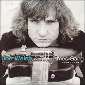 Pochette The Best of Joe Walsh and the James Gang (1969 - 1974)