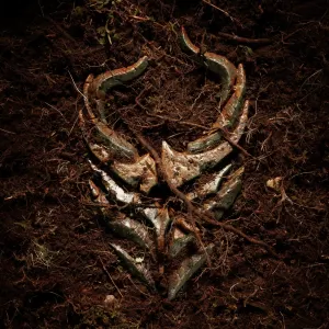 Pochette de The Pain in Me Is Gone de Demon Hunter