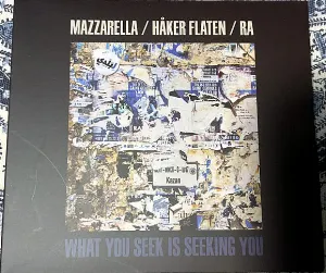 Pochette de What You Seek Is Seeking You de Ingebrigt Håker Flaten