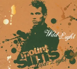Pochette de Wild Light de Mount Sims