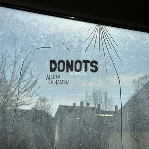 Pochette de Allein zu allein de Donots