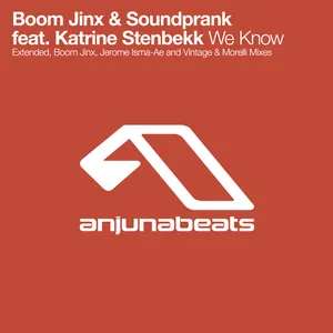 Pochette de We Know de Boom Jinx