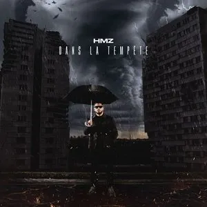 Pochette de Dans la tempête de HMZ