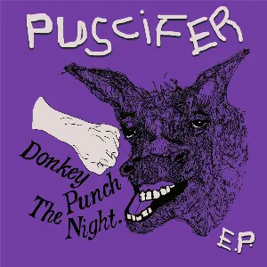 Pochette Donkey Punch the Night