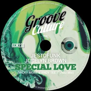 Pochette de Special Love (Micky More & Andy Tee 7” Jazz Mix) de Jestofunk