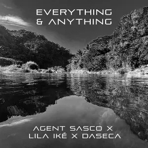 Pochette de Everything & Anything de Agent Sasco