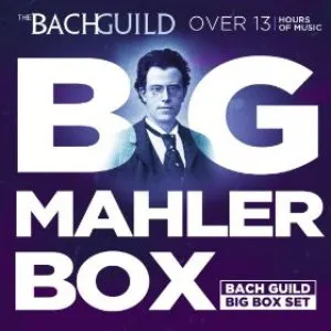 Pochette Big Mahler Box