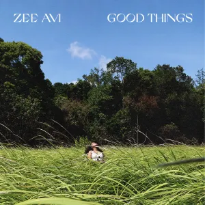 Pochette de Good Things de Zee Avi