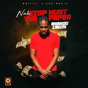 Pochette de Nah Stop Hunt The Paper de Romieikon