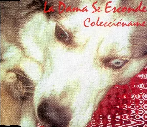 Pochette de Coleccióname de La Dama se Esconde
