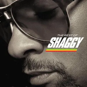 Pochette The Best of Shaggy