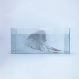 Pochette de jellyfish de HUH YUNJIN