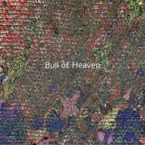 Pochette de It Was as You Said de Bull of Heaven