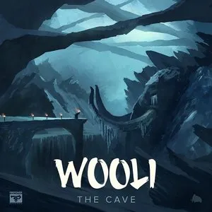 Pochette de The Cave de Wooli