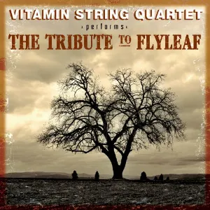 Pochette de The Tribute to Flyleaf de Vitamin String Quartet