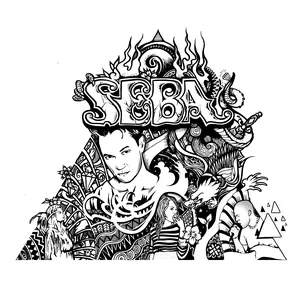 Pochette de Identity de Seba