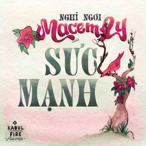 Pochette de sức mạnh de Macem Ly