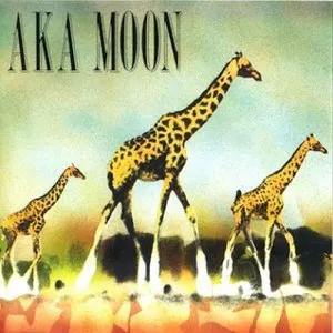 Pochette de Aka Moon de Aka Moon