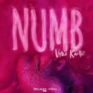 Pochette de Numb de Vybz Kartel