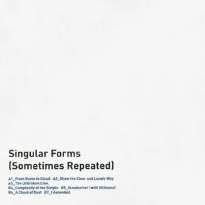 Pochette de Singular Forms (Sometimes Repeated) de Sylvain Chauveau