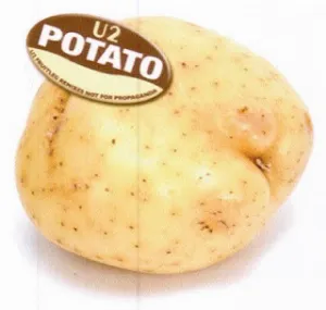 Pochette Potato: U2 Fruitleg Remixes Not for Propaganda