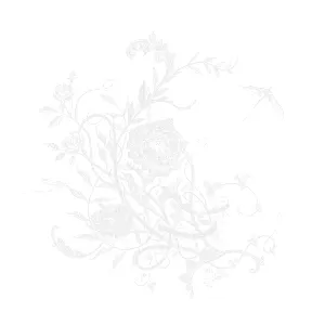 Pochette de 白色蜉蝣 de Aimer