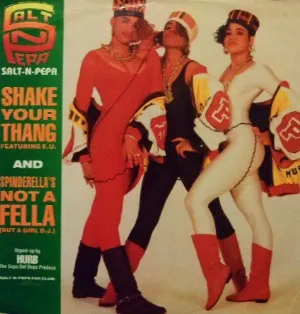 Pochette Shake Your Thang / Spinderella's Not A Fella (But A Girl DJ)