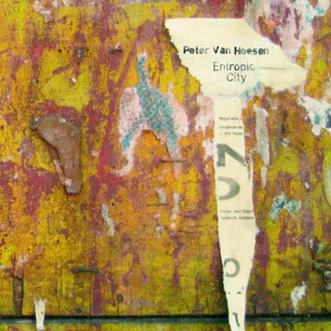 Pochette de Entropic City de Peter Van Hoesen